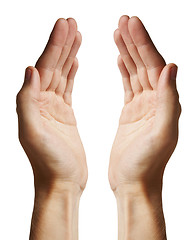 Image showing Human hands