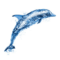 Image showing Jumping water dolphin