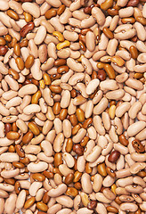 Image showing beans background