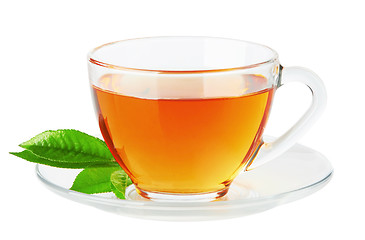 Image showing Cup with tea and green leaf