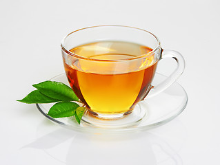 Image showing Cup with tea and green leaf