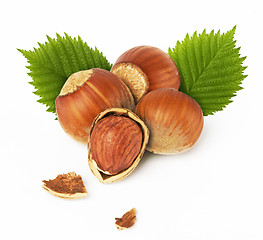 Image showing hazelnuts with leaves