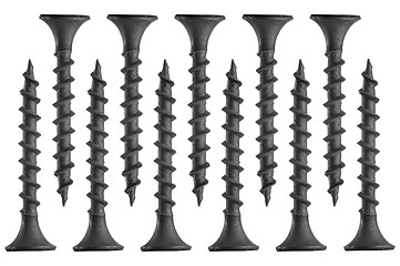 Image showing Closeup of metal screws on white background