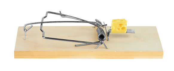 Image showing mousetrap with cheese