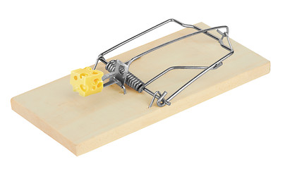 Image showing mousetrap with cheese