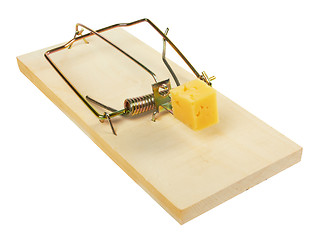 Image showing mousetrap with cheese