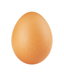 Image showing one egg