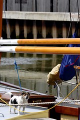 Image showing thames sailing barge