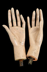 Image showing severed hands