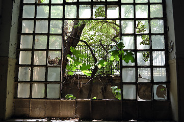 Image showing window tree