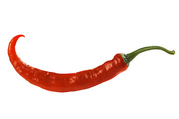 Image showing Red hot pepper