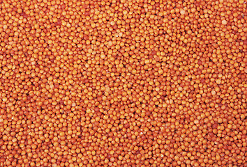 Image showing red lentils