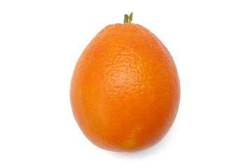 Image showing Orange