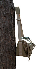 Image showing Shoulder bag hanging on pine tree