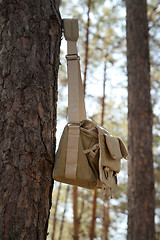 Image showing Shoulder bag hanging on pine tree