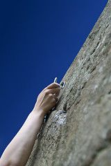 Image showing Climber's hand with quick-draws