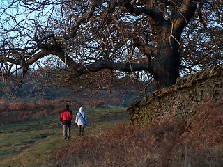 Image showing walk