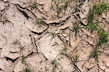 Image showing Dry Cracked Earth and Grass