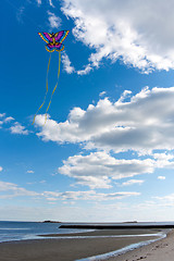 Image showing Flying a Kite at the Beach