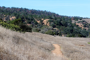 Image showing Santa Cruz Island