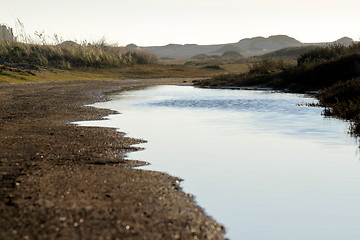 Image showing Wetland