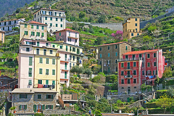 Image showing Italy. Cinque Terre. Riomaggiore 