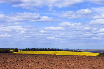 Image showing Rural landscape