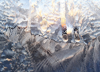 Image showing winter glass