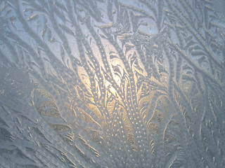 Image showing frosty natural pattern