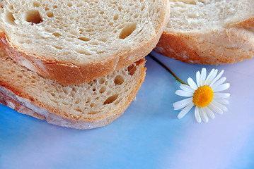 Image showing White bread slices
