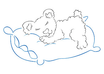 Image showing Teddy is sleeping