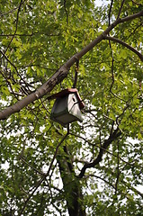 Image showing Birdhouse