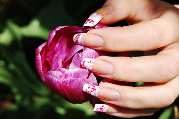 Image showing Manicure on long real nails