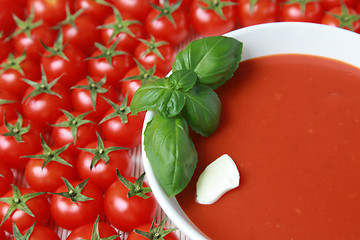 Image showing Fresh tomato soup