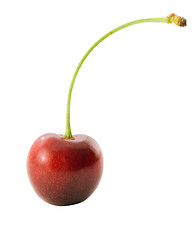 Image showing Single cherry