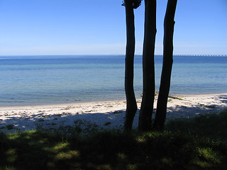 Image showing Danish summer