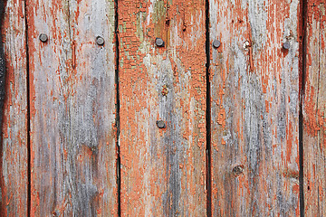 Image showing Wood Background 