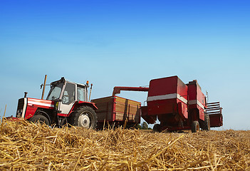 Image showing Harvesting time 