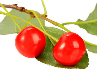 Image showing One branch with green leaf and red cherrys