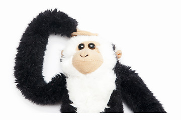 Image showing Monkey