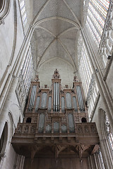 Image showing Organ