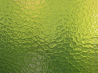 Image showing green glass