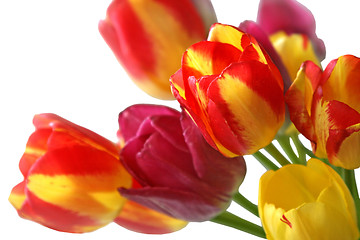 Image showing bouquet of beautiful colorful tulips