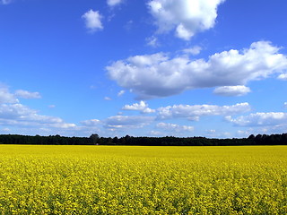 Image showing Landscape