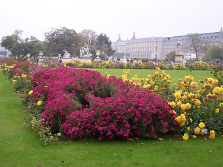 Image showing Paris Garden