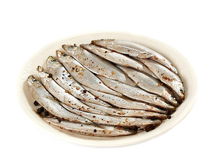 Image showing salted anchovy