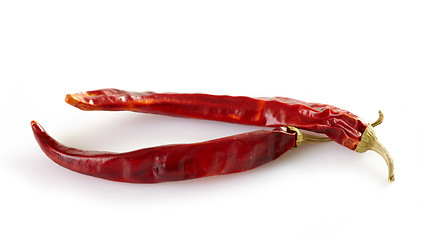 Image showing chili pepper
