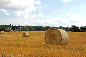 Image showing Golden field with straw bales