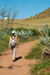 Image showing Hiking