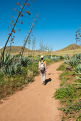 Image showing Hiking